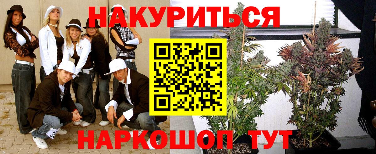 Бошки Шишки гибрид Петропавловск-Камчатский